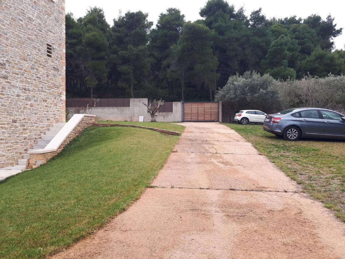 Villa Kalamos / Sea View And Pool Nearby Athens Exterior foto