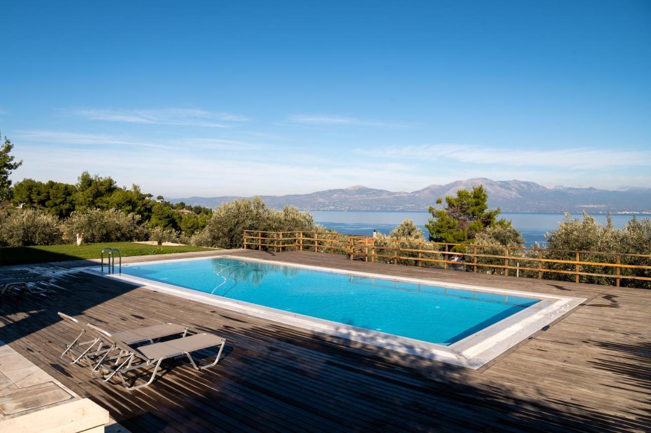 Villa Kalamos / Sea View And Pool Nearby Athens Exterior foto