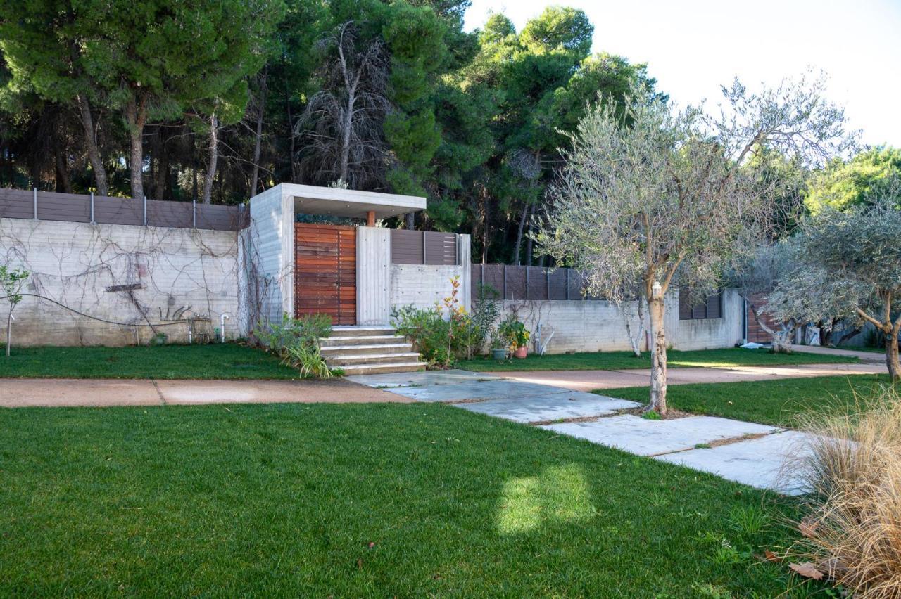 Villa Kalamos / Sea View And Pool Nearby Athens Exterior foto